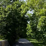 Luno * Zvoneca
